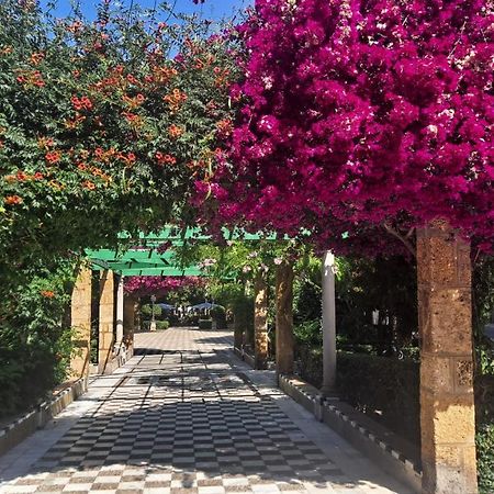 شقة Alameda11 كاديز المظهر الخارجي الصورة